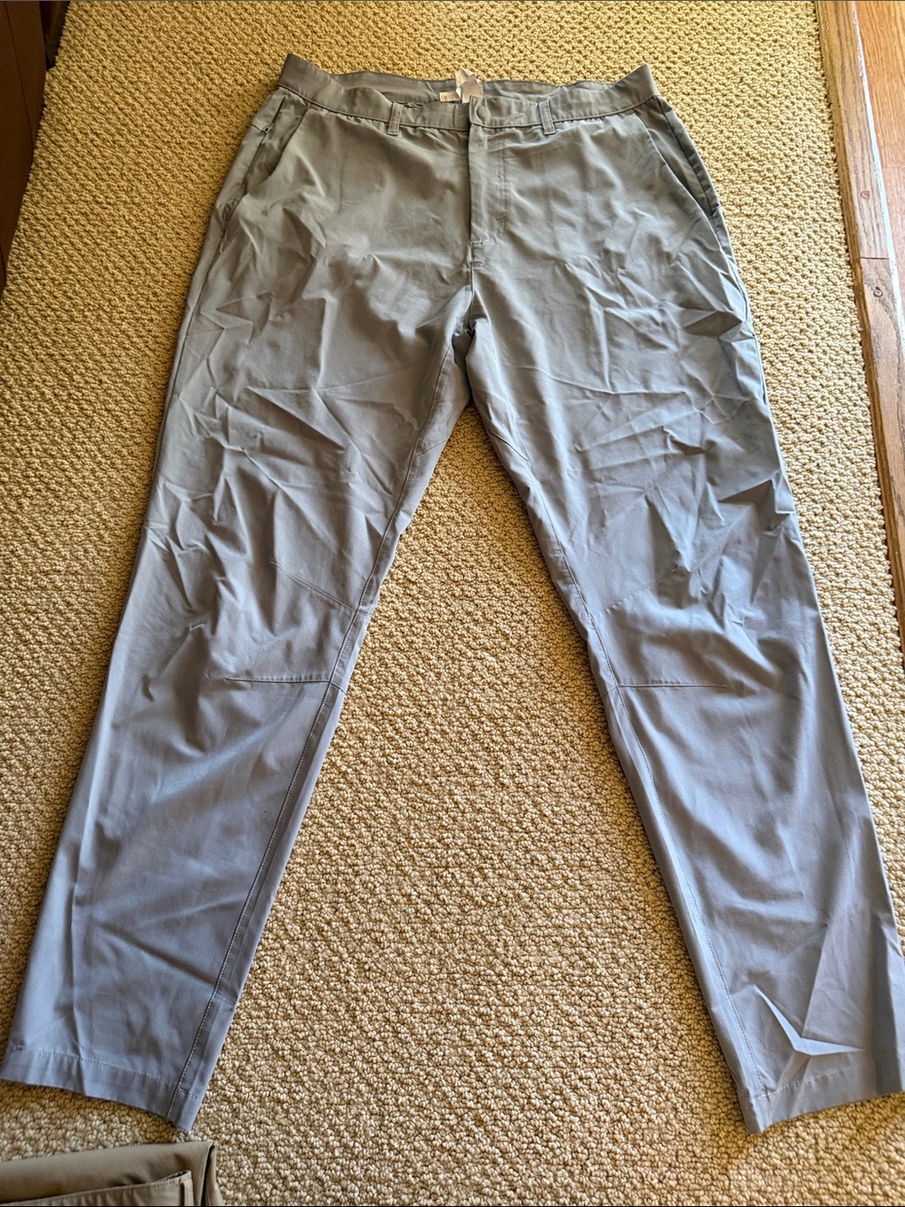 Fabletics Men's Light Gray Chino Pants